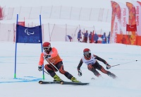 Juegos Paralímpicos de Sochi 2014