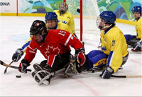 Partido de hockey entre Canadá y Suecia